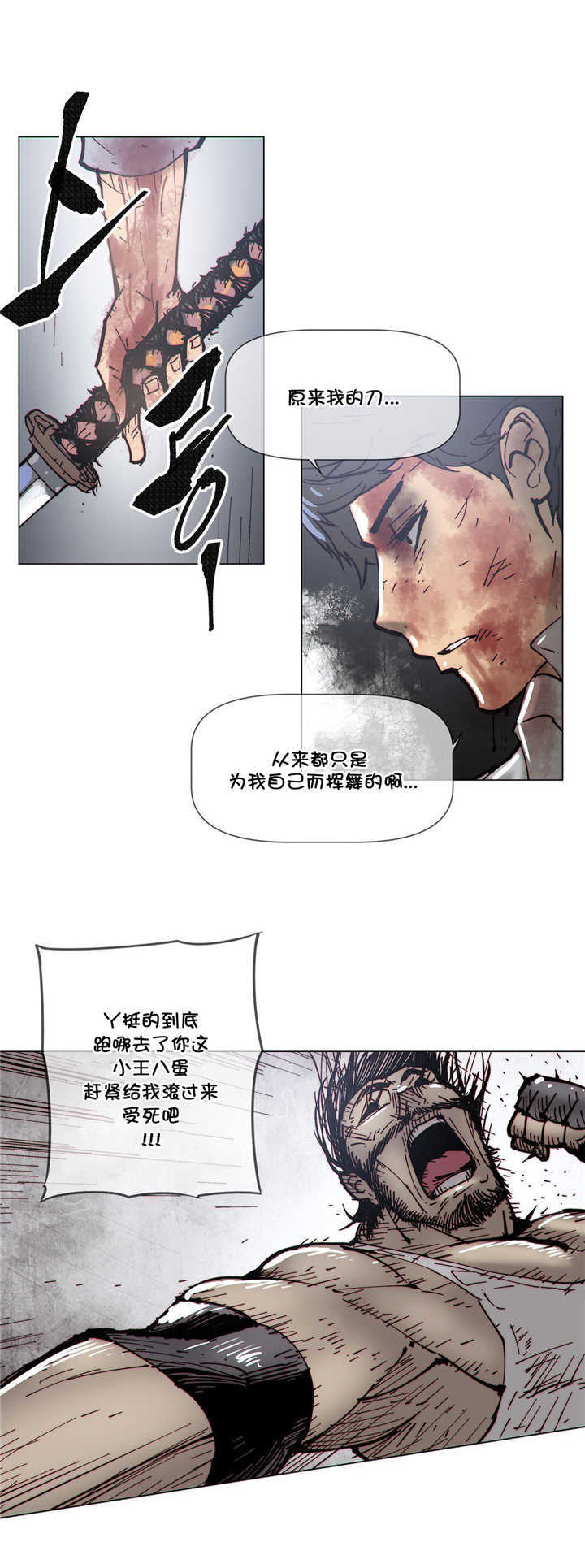 潜伏刺客漫画,第70章：挥刀2图