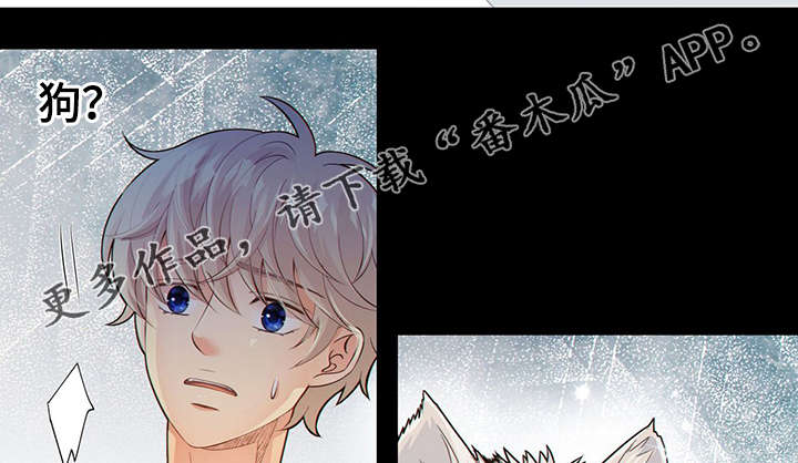 阿尔法监狱的检察官漫画,第42章：梦话5图
