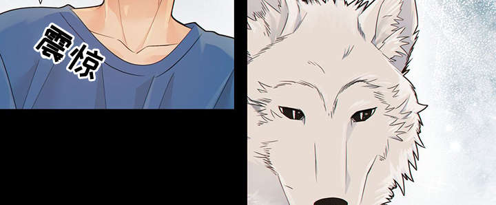 阿尔法检索官网漫画,第42章：梦话1图