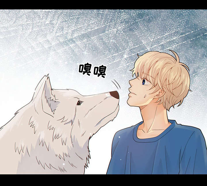 阿尔法检索官网漫画,第42章：梦话3图