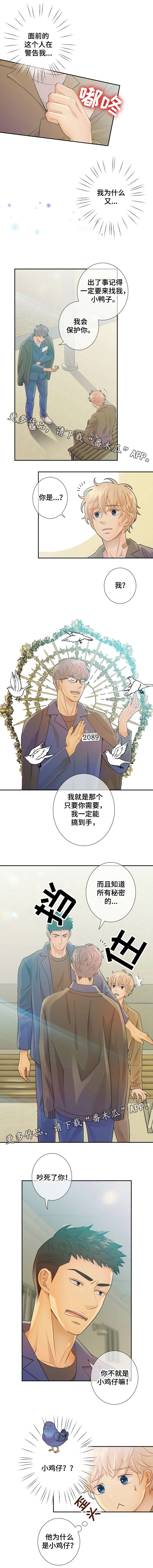 阿尔法监狱漫画,第30章：小鸡仔4图