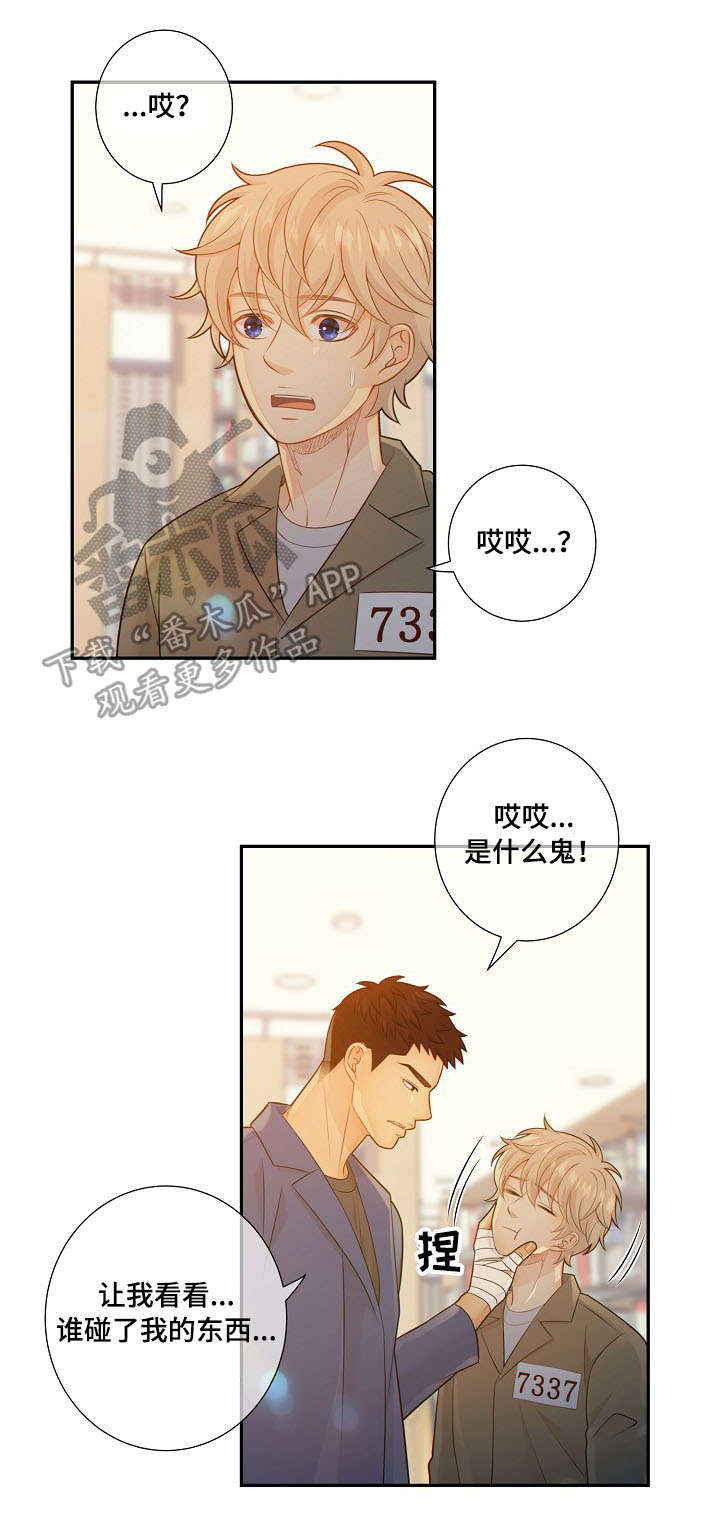 阿尔法监狱漫画,第56章：回房1图