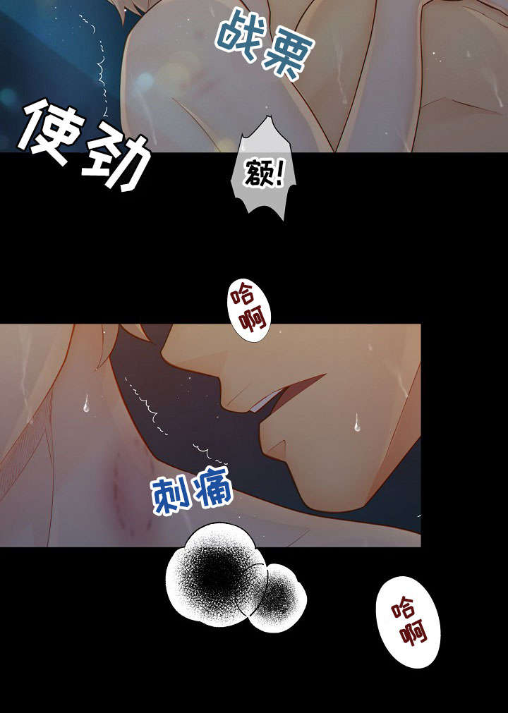 阿尔法检测官网漫画,第61章：了解4图