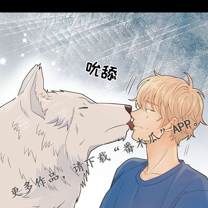 阿尔法检索官网漫画,第42章：梦话4图