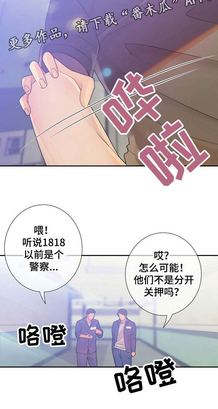 阿尔法监狱漫画,第29章：不合常理2图