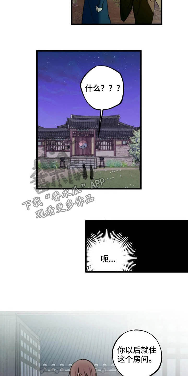 阳明海运三季度净利环比增长漫画,第21章：住下2图