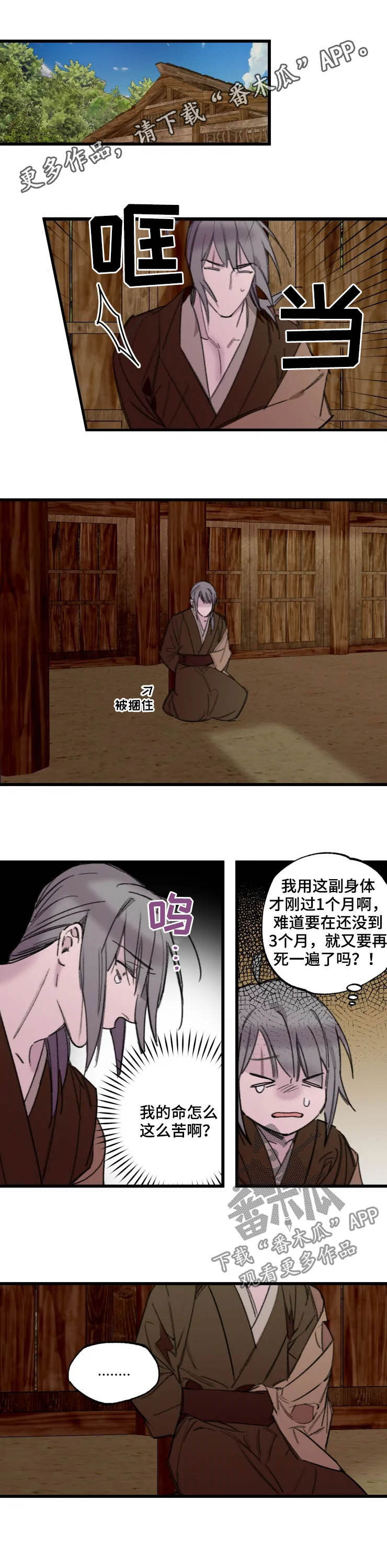 阳明海运三季度净利环比增长漫画,第19章：我不是阳明1图