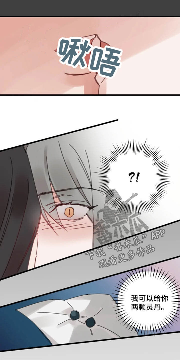 阳明病漫画,第36章：灵丹4图