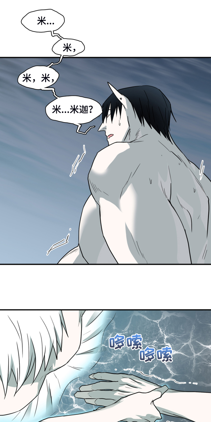 黑焰纹章完整版在线漫画,第243章：回归于无5图