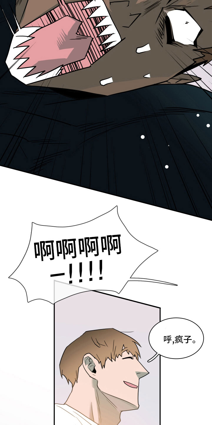 黑焰纹章波乐屋漫画,第281章： 【番外】投票结果2图