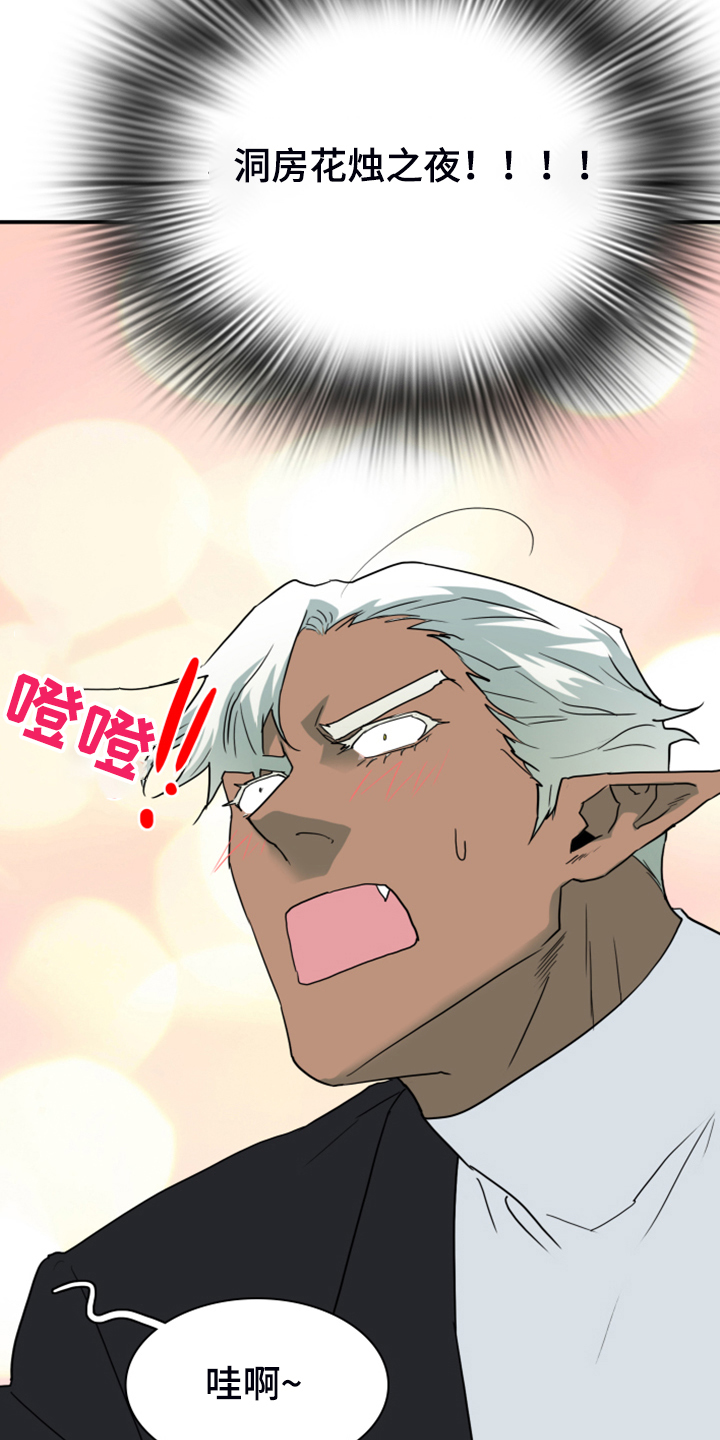 黑焰纹章漫画,第249章：【番外】期待的洞房5图