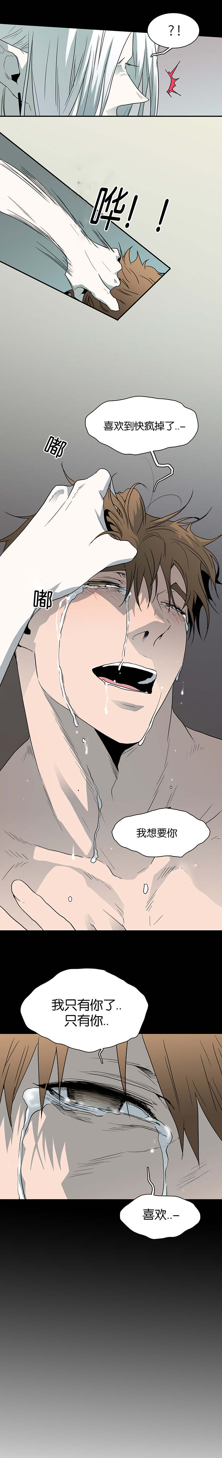 黑焰纹章漫画,第40章：受伤归来3图