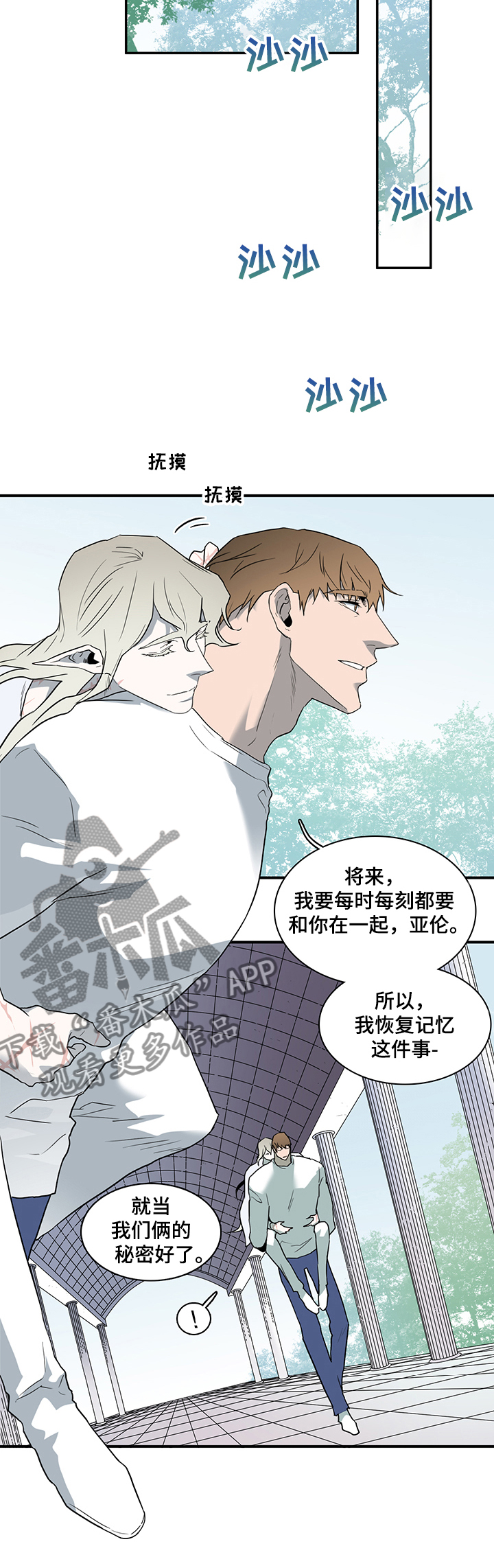 黑焰纹章漫画,第211章：灵魂碎片5图