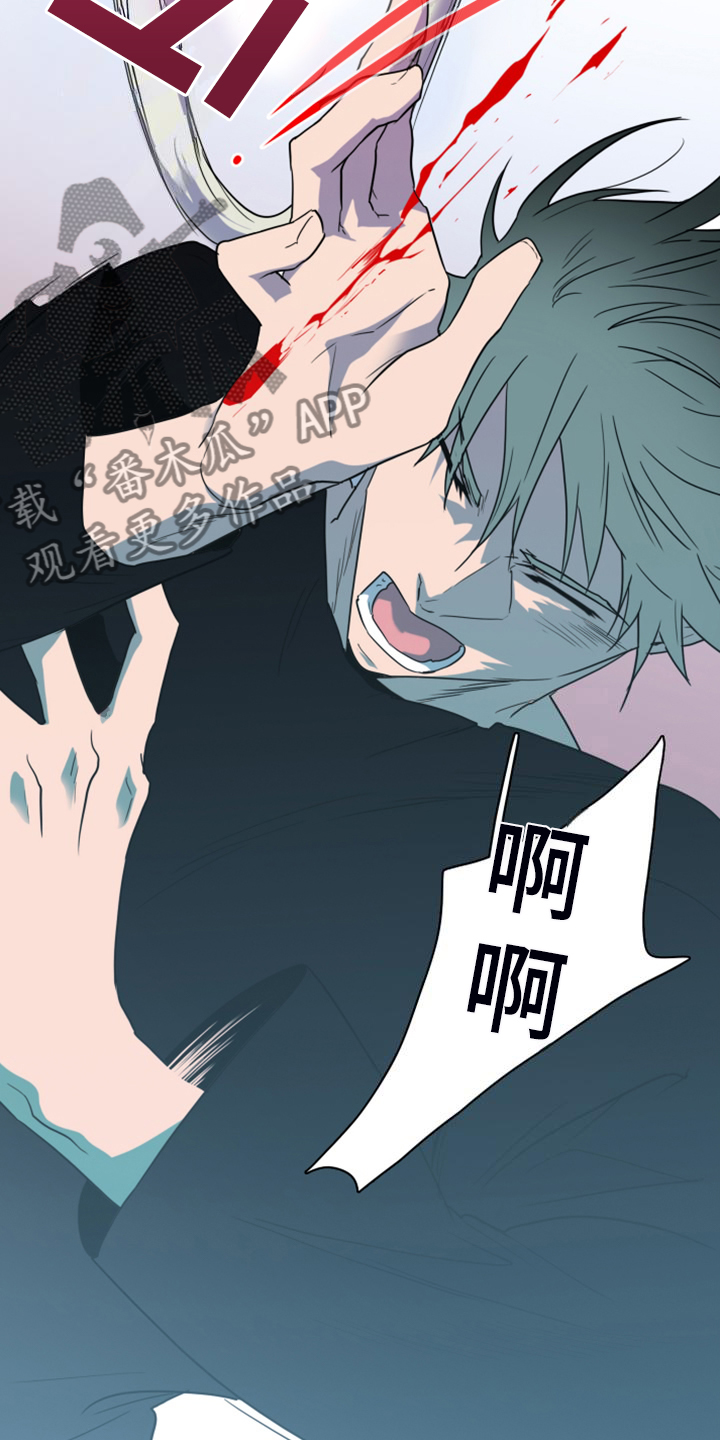 黑焰纹章漫画,第256章：【番外】诞生1图