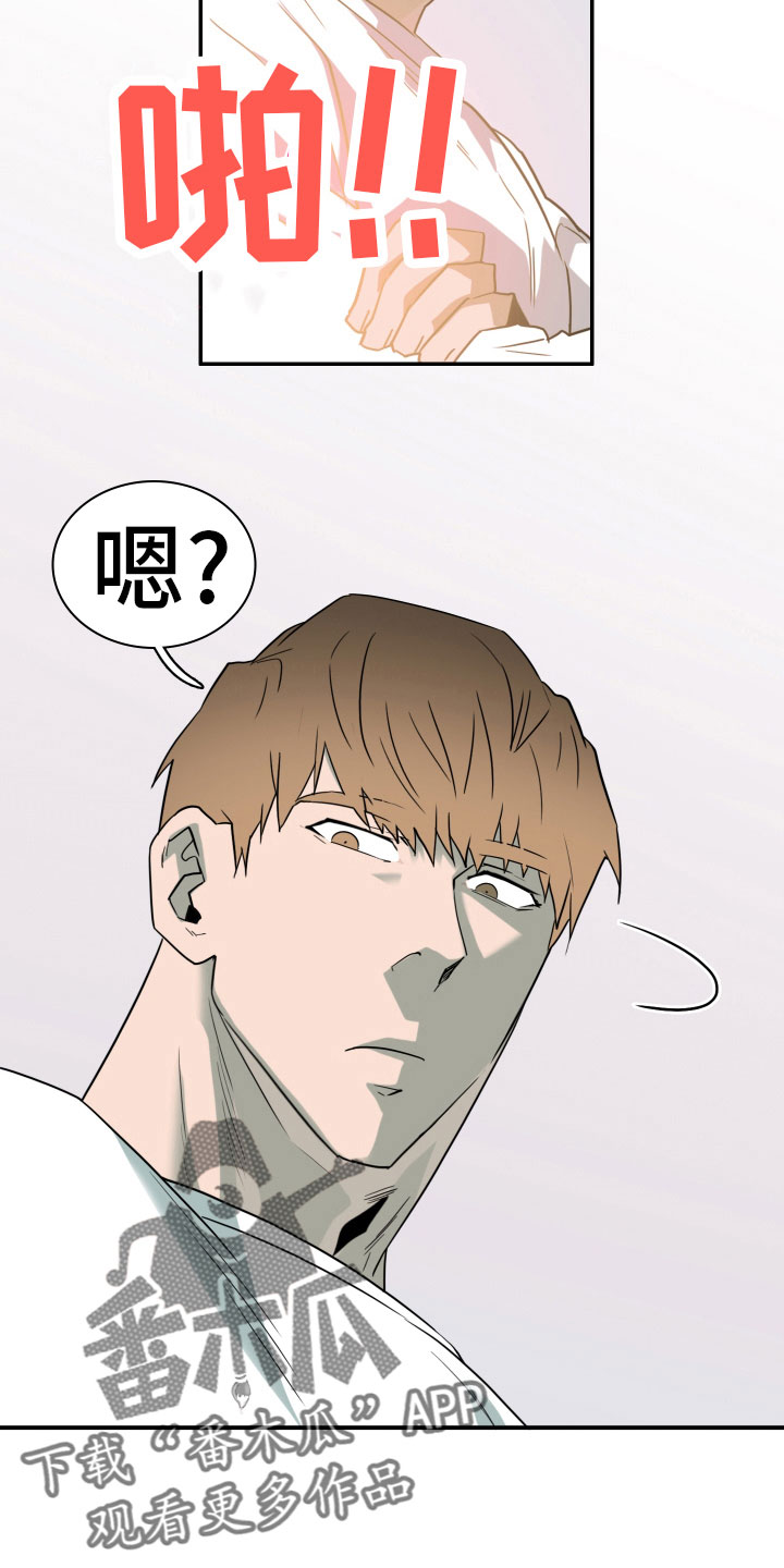 黑焰纹章波乐屋漫画,第281章： 【番外】投票结果3图