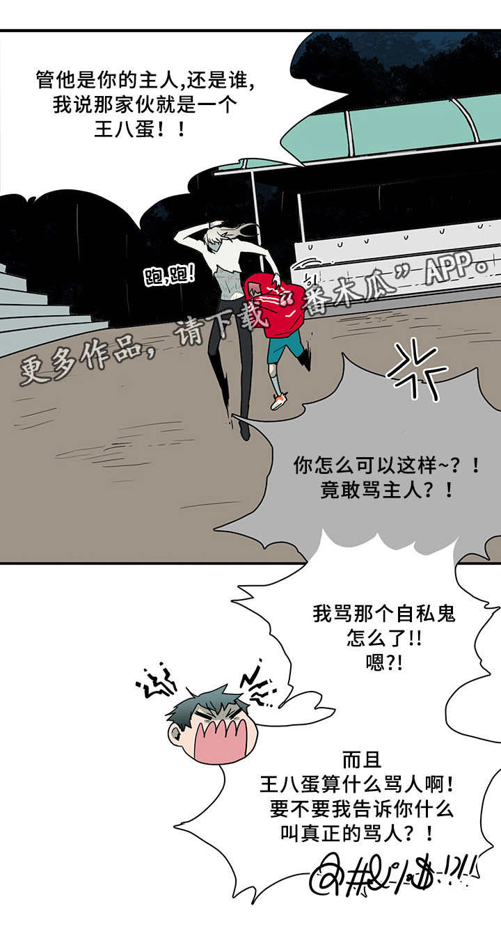 黑焰纹章deardoor无剪辑漫画,第83章：行踪5图