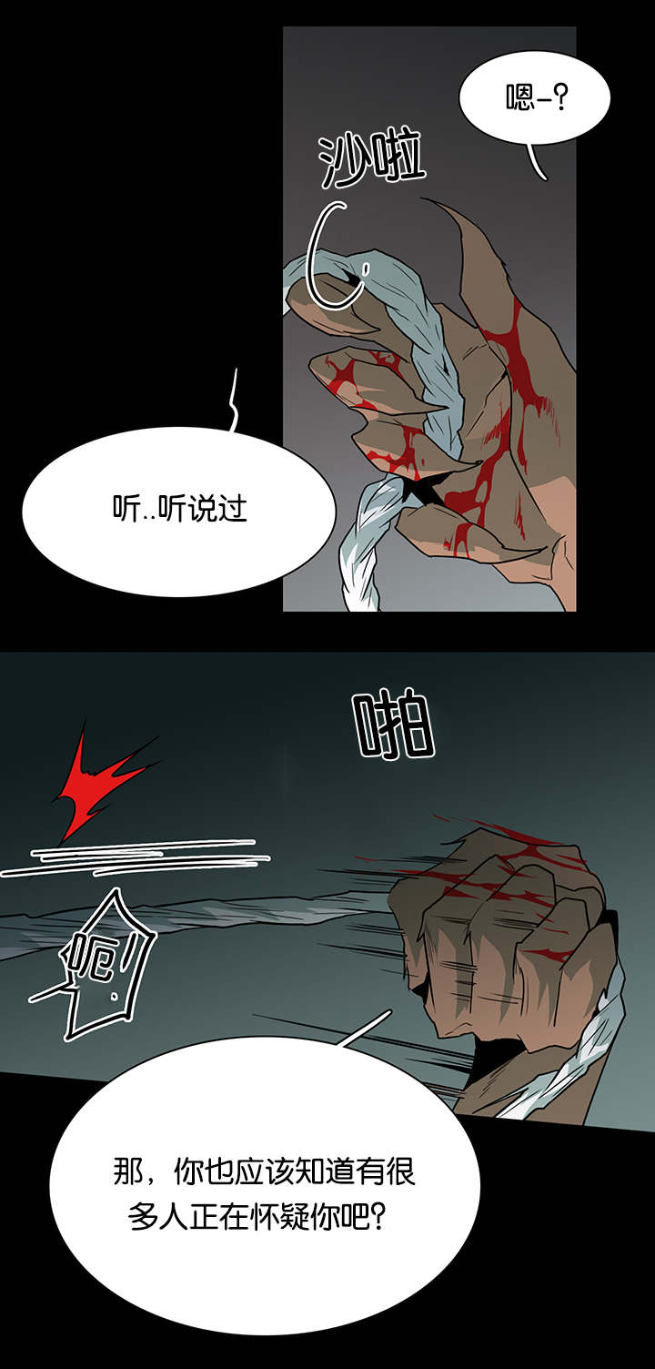 黑焰纹章漫画,第52章：王与臣2图