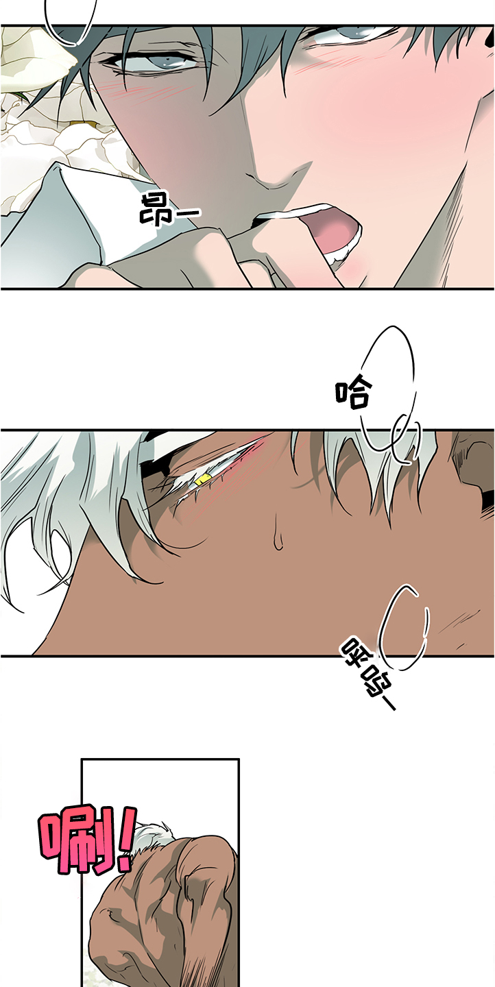 黑焰纹章txt漫画,第227章：不要回忆悲伤3图