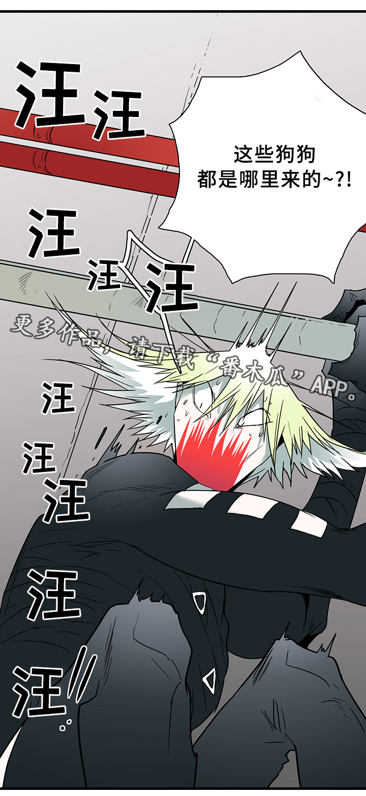 黑焰纹章完整版在线漫画,第97章：奇怪的人1图