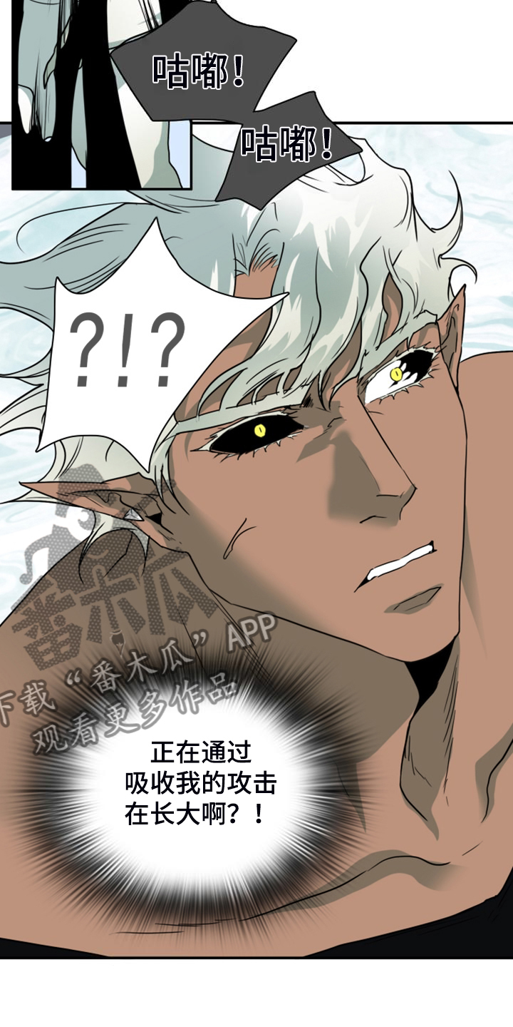 黑焰纹章完整版在线漫画,第256章：【番外】诞生1图