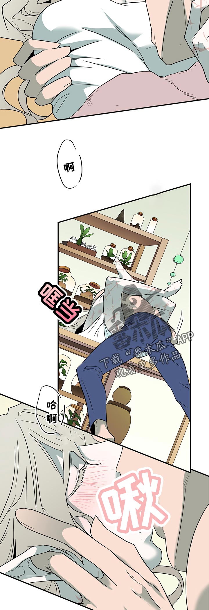 黑焰纹章漫画,第165章：是谁？2图