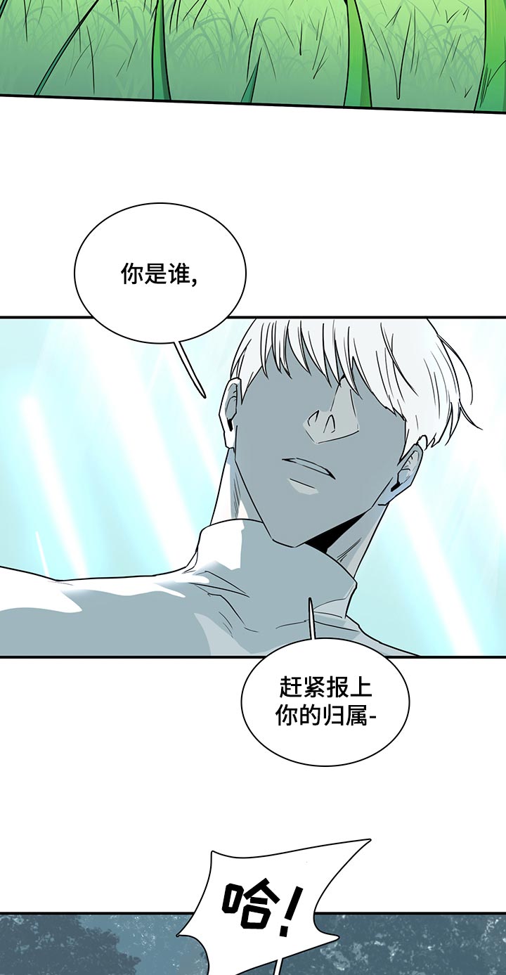 黑焰纹章漫画,第169章：全部吸收5图