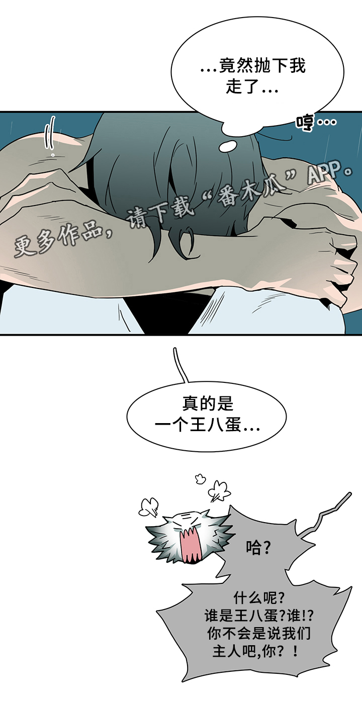 黑焰纹章deardoor无剪辑漫画,第83章：行踪4图