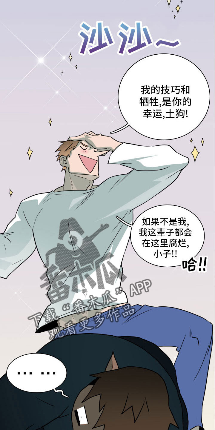 黑焰为何要杀新婚夫妇漫画,第283章：【番外】想问什么2图