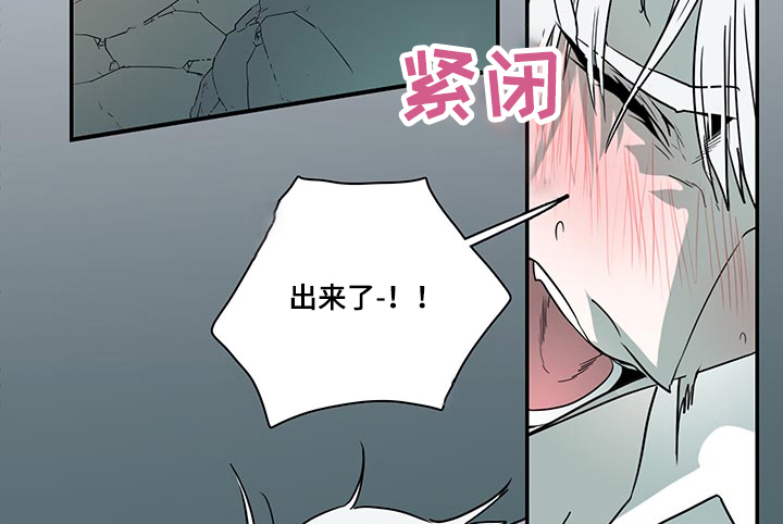 黑焰纹章完整版在线漫画,第215章：依靠3图