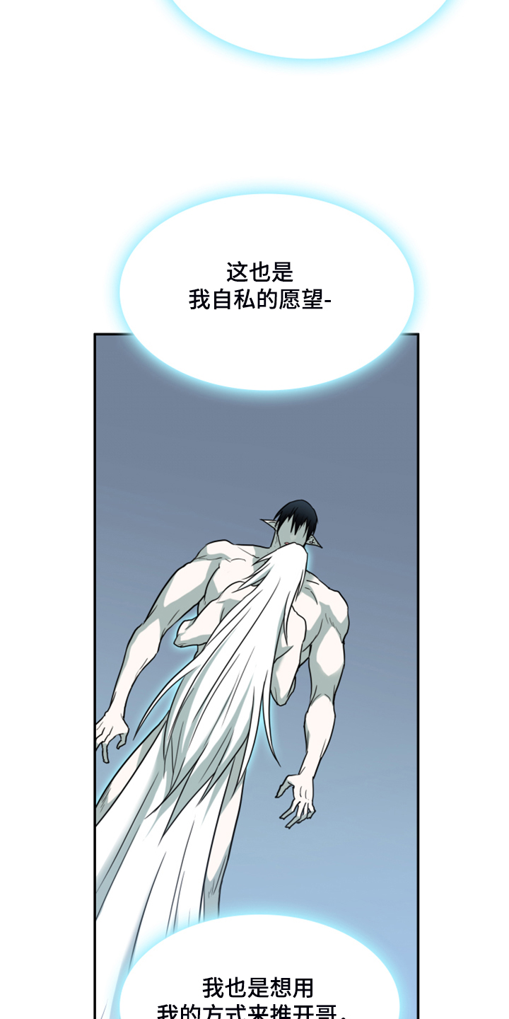 黑焰纹章完整版在线漫画,第243章：回归于无4图