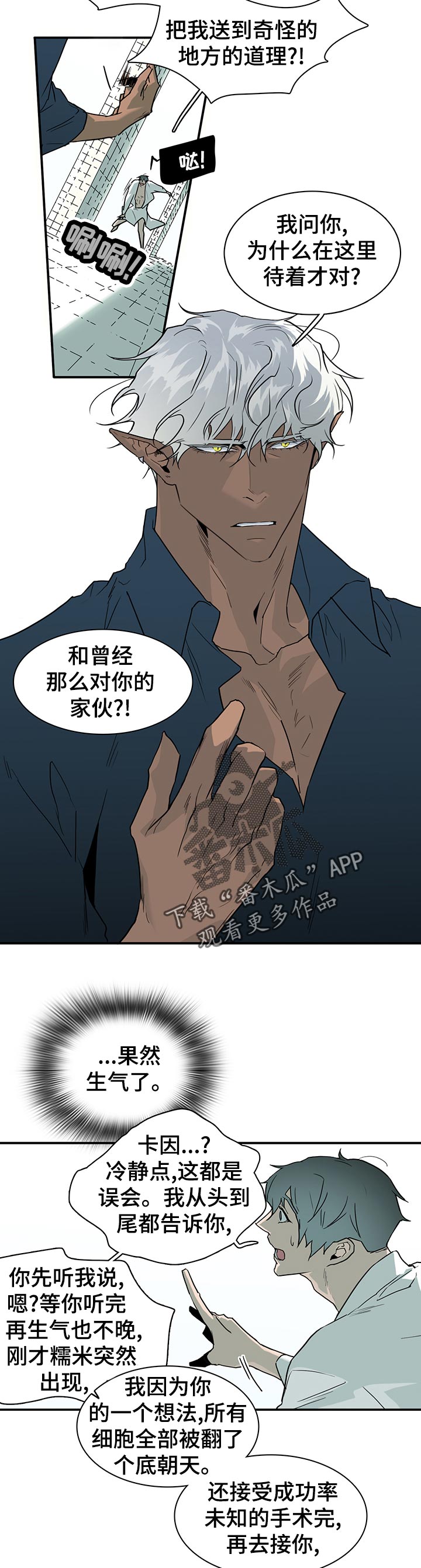 黑焰纹章完整版在线漫画,第173章：胜利2图