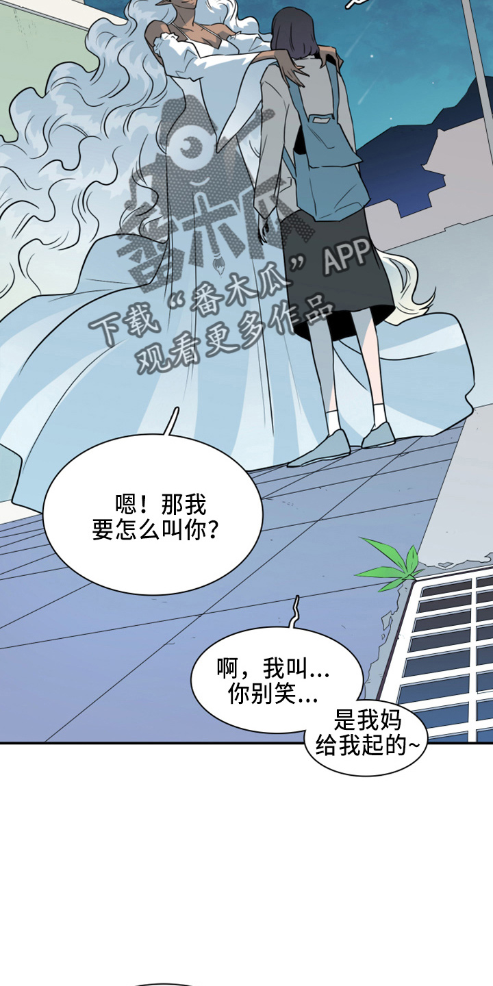 黑焰纹章完整版在线漫画,第269章：【番外】朋友3图