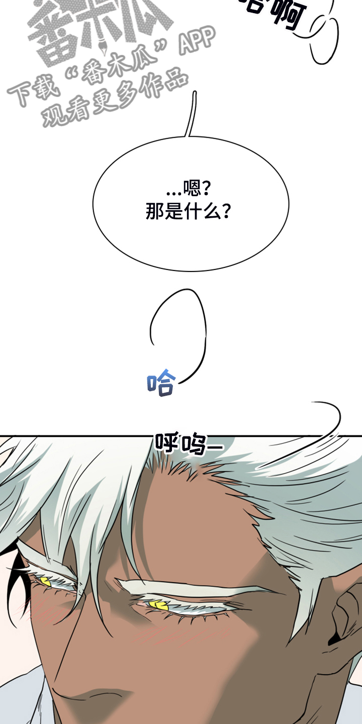 黑焰光头强漫画,第249章：【番外】期待的洞房1图