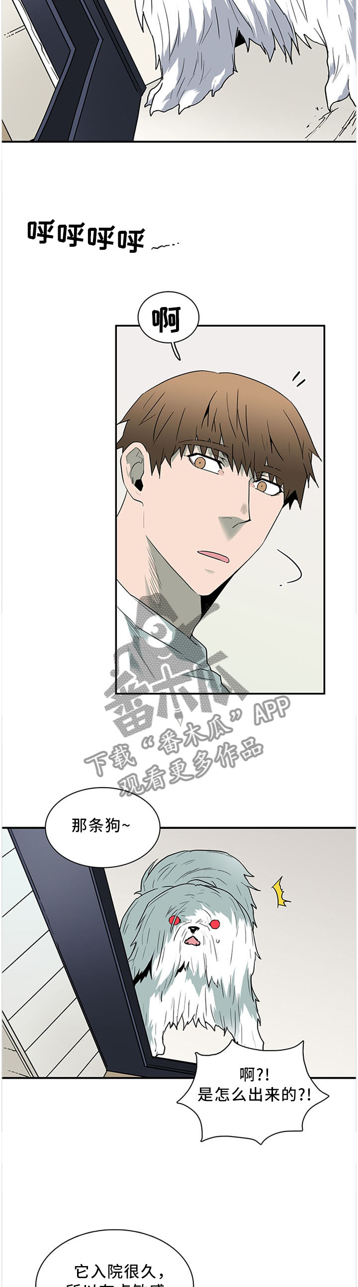 黑焰纹章漫画,第116章：温暖的感觉2图