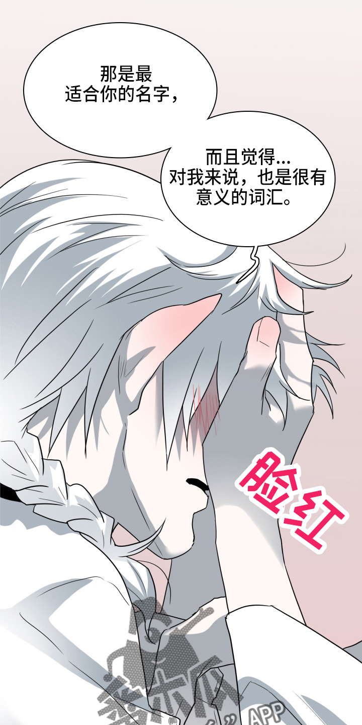 黑焰魁首是谁漫画,第263章：【番外】实现愿望3图