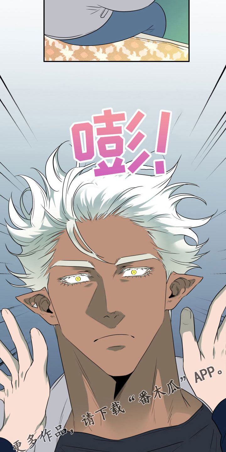 黑焰纹章漫画,第297章：【番外】回去吧2图