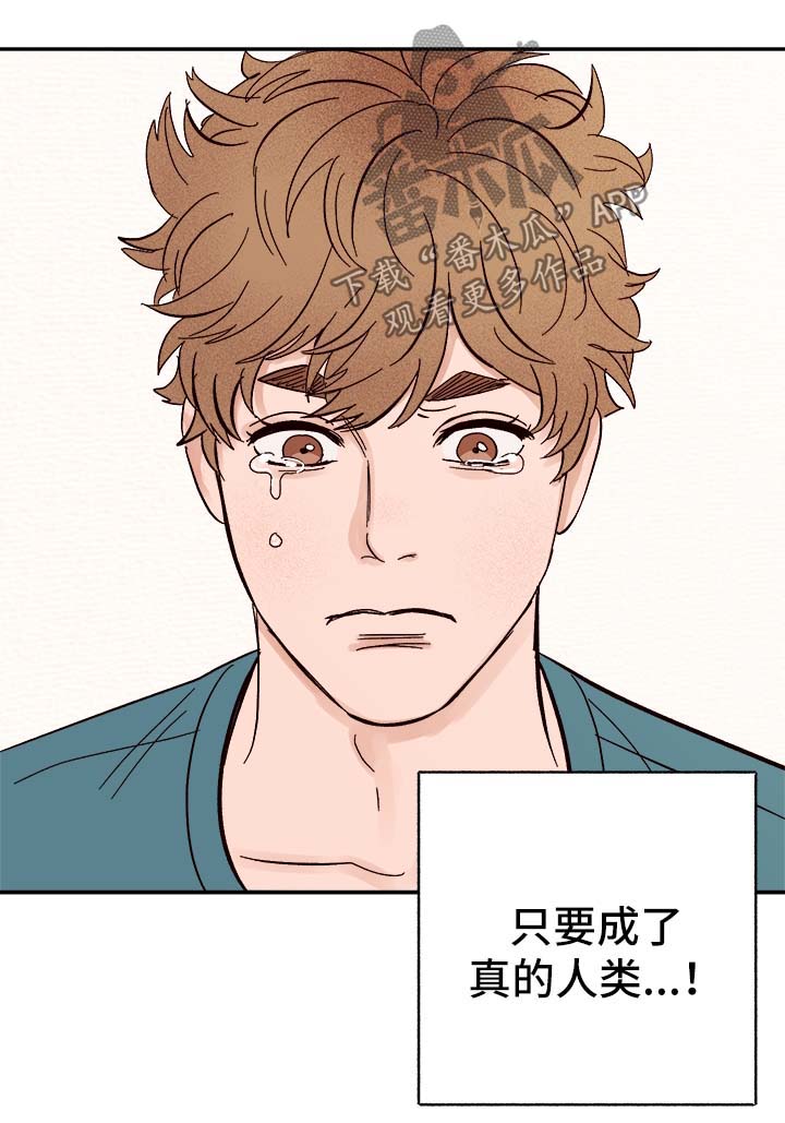 爱宠攻略漫画,第44章：下定决心5图