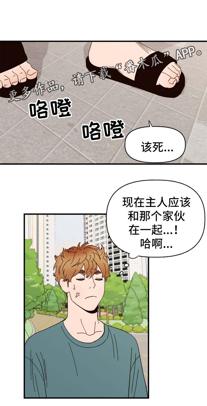 爱宠攻略漫画,第33章：狗神5图
