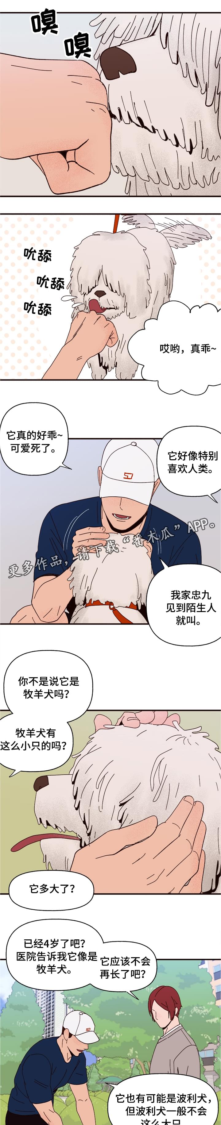 爱宠攻略漫画,第10章：谎言1图