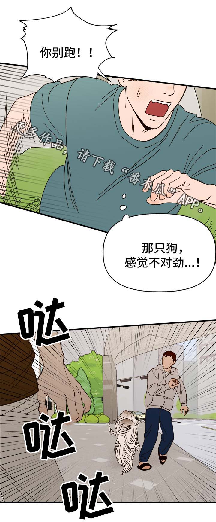 爱宠攻略漫画,第33章：狗神3图