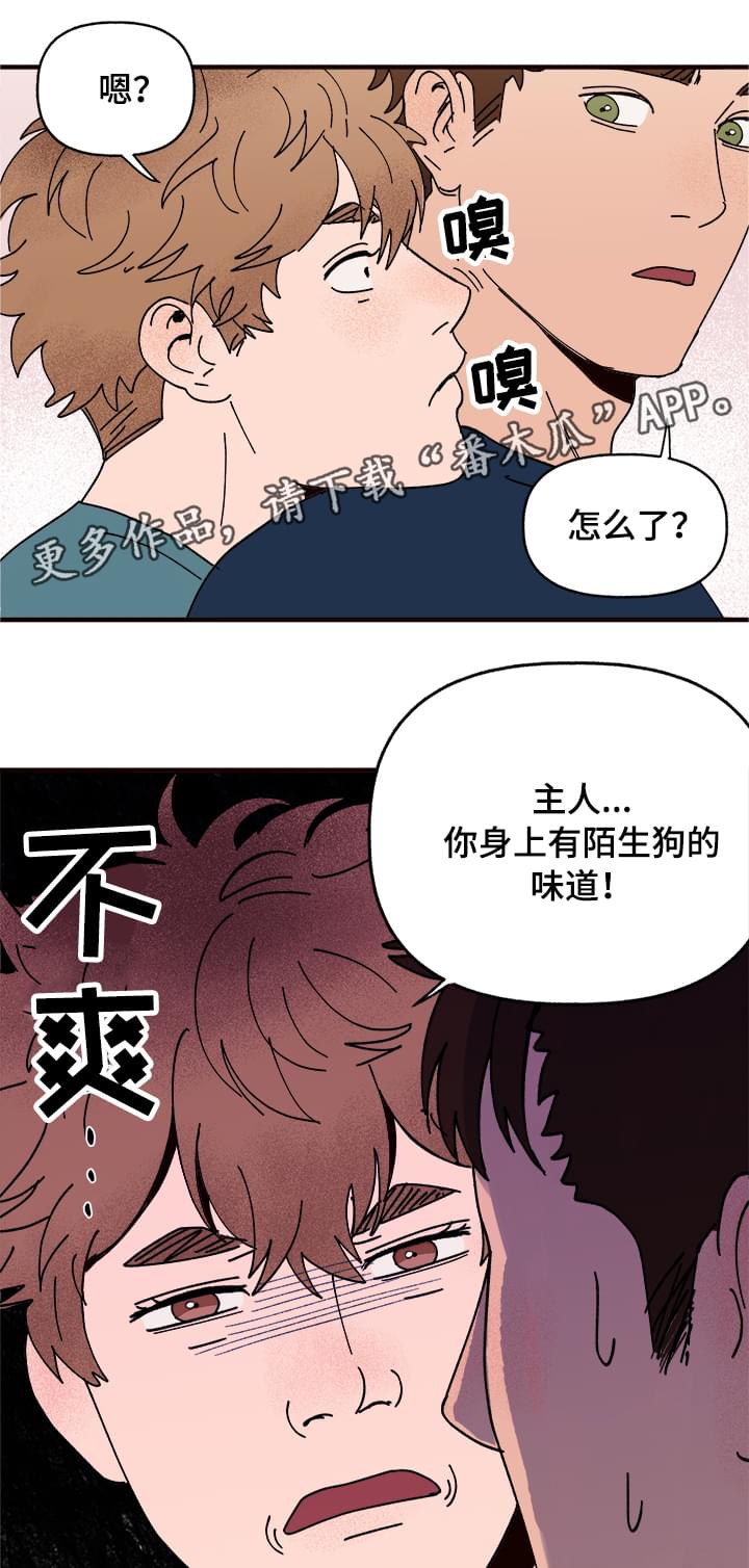 爱宠攻略漫画,第10章：谎言4图