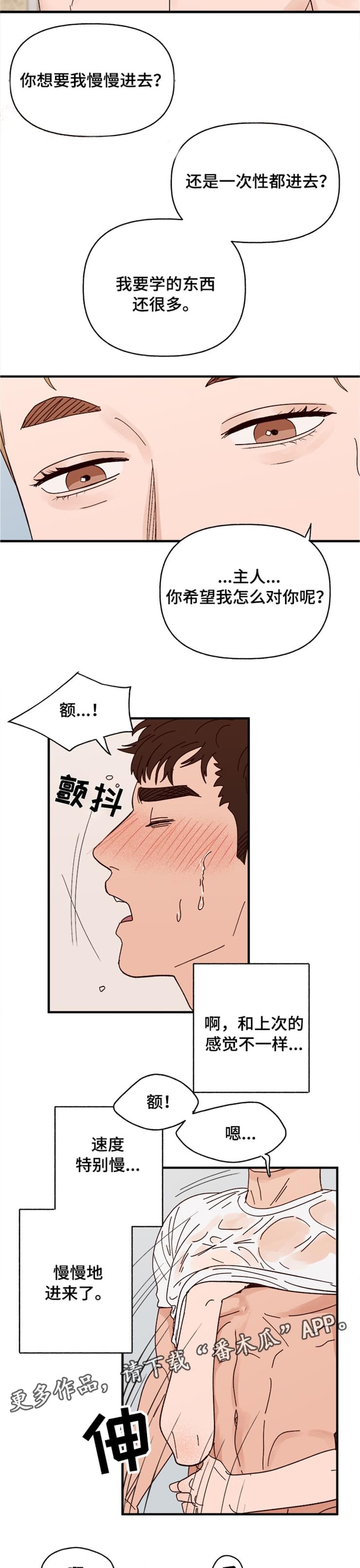 爱宠攻略漫画,第17章：快坏掉了2图