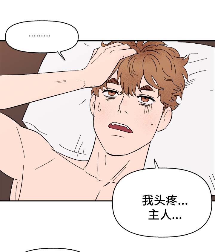 爱宠攻略漫画,第40章：和我在一起1图