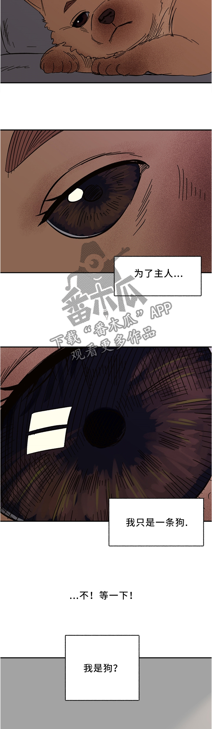 爱宠攻略漫画,第49章：担心5图