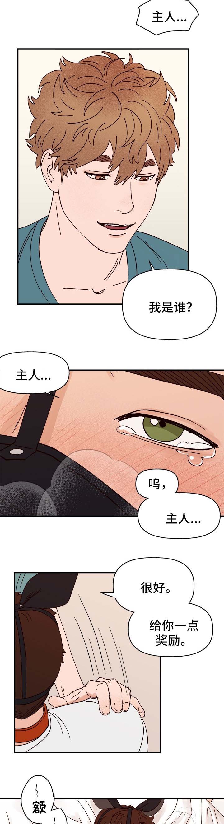 爱宠攻略漫画,第29章：我是谁?2图