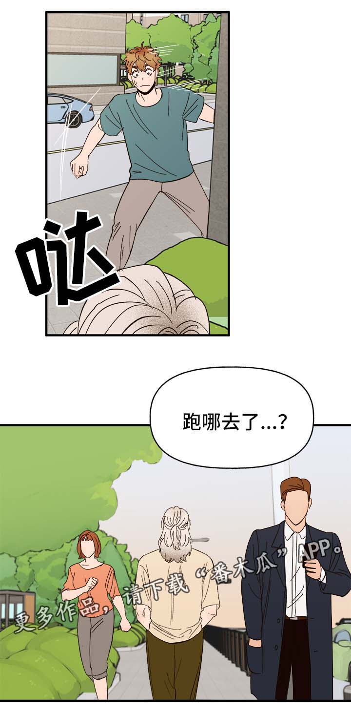 爱宠攻略漫画,第33章：狗神4图
