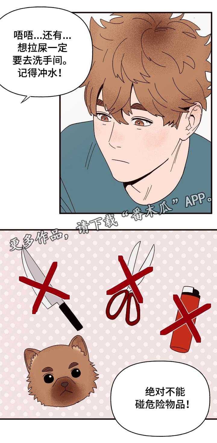 爱宠攻略漫画,第11章：测试一下4图