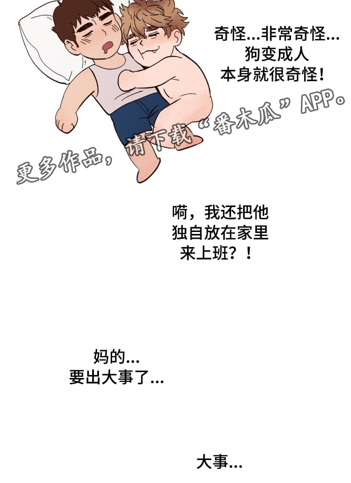 爱宠攻略漫画,第3章：难以置信5图