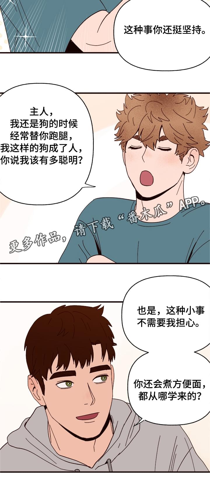 爱宠攻略漫画,第11章：测试一下2图