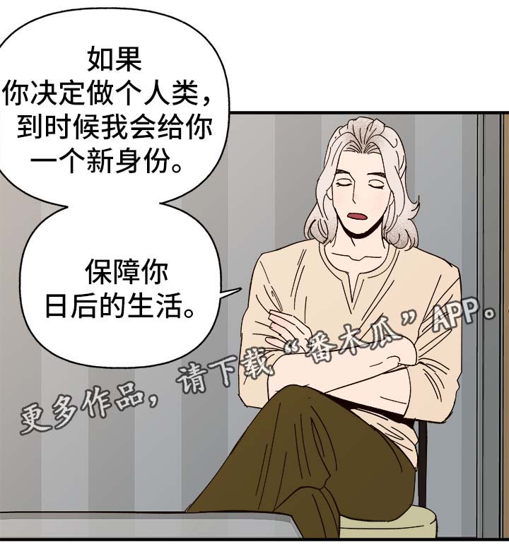 爱宠攻略漫画,第34章：隐晦3图
